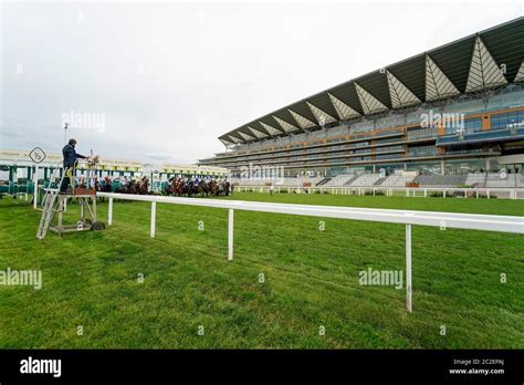 copper horse handicap trends|Copper Horse Stakes Tips .